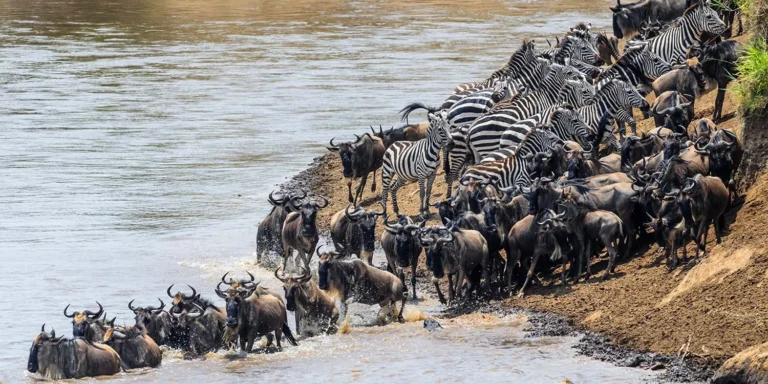 Serengeti National Park
