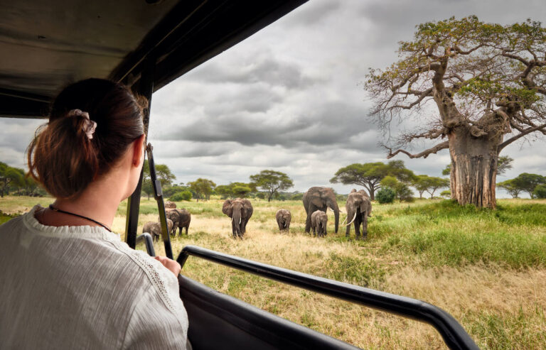 Tarangire National Park