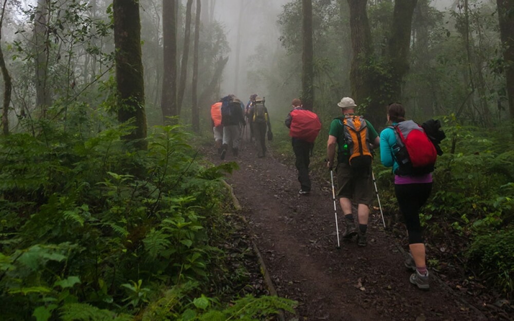 machame route