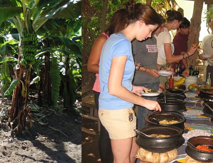 Cultural Tours
