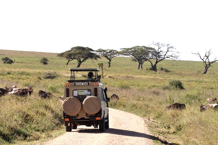 Game Drives