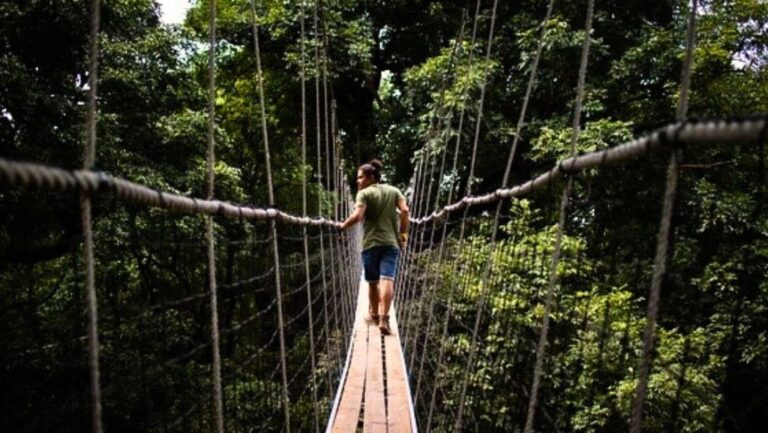 Treetop Walk Tanzania
