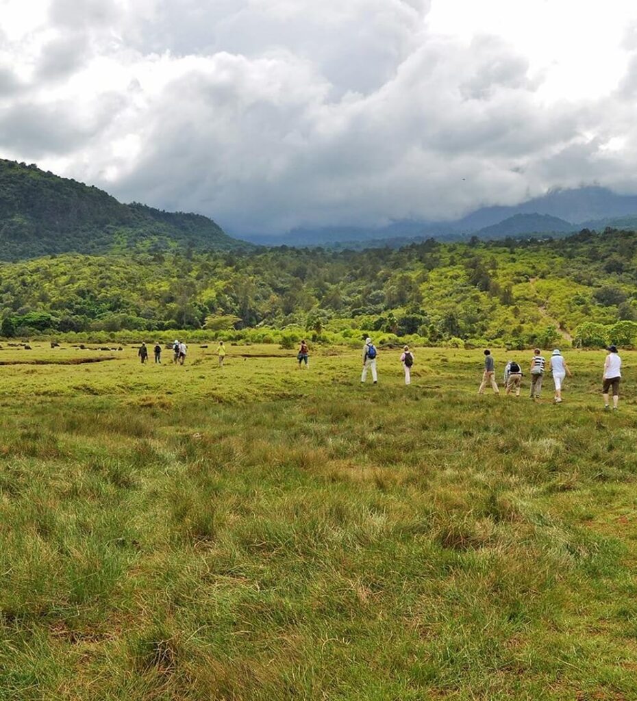 Walking Safaris