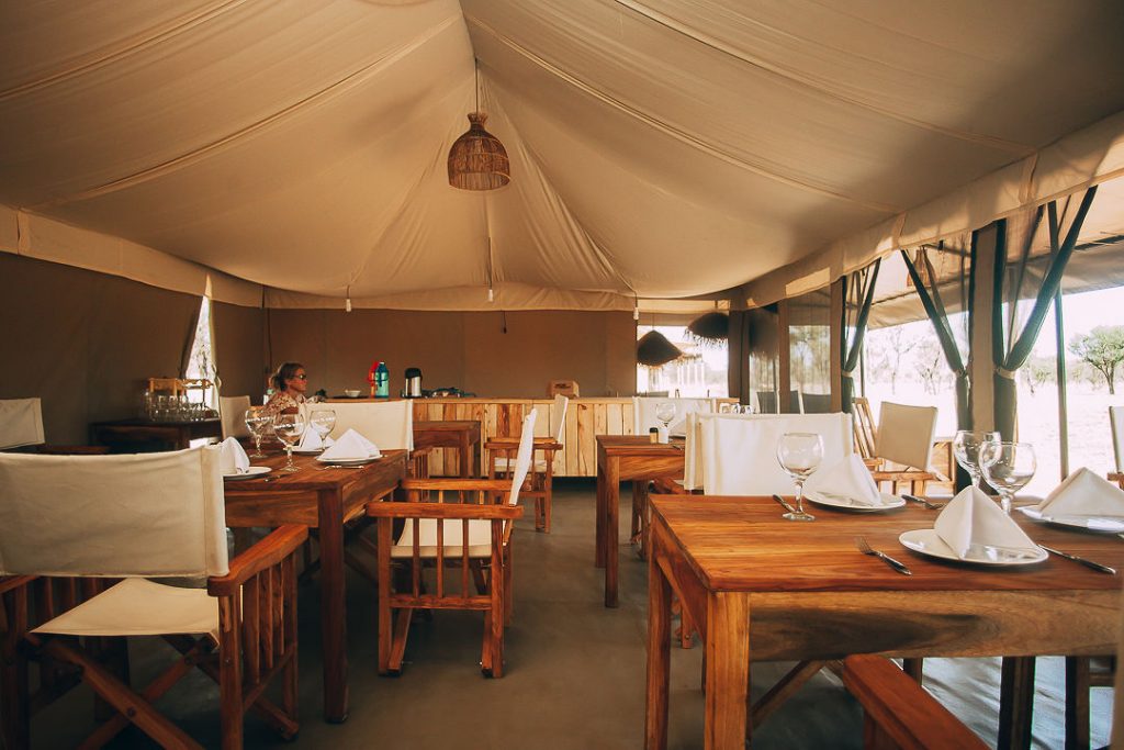kintiki-africa-serengeti-2-1024x683-1