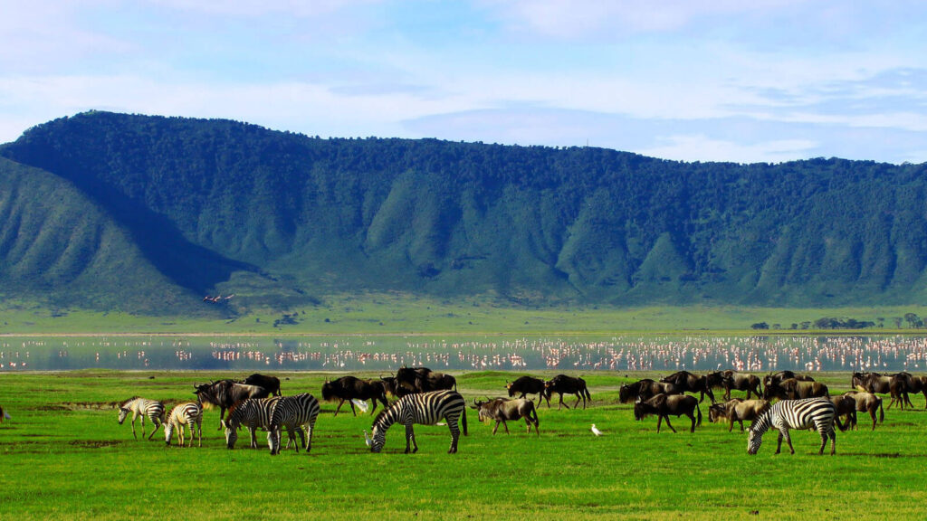 Ngorongoro Conservation Area Authority