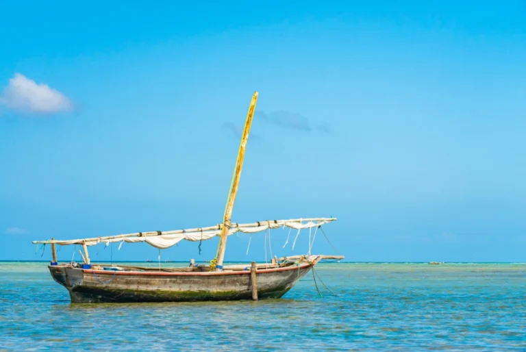 Fishing in Tanzania