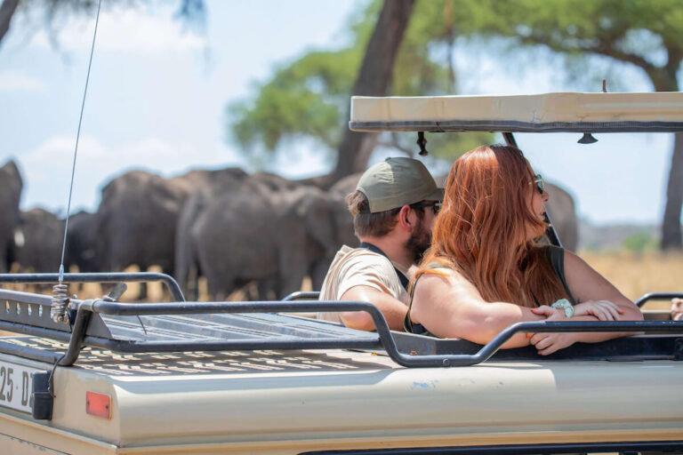 8 Days Tanzania Safari and Zanzibar Honeymoon