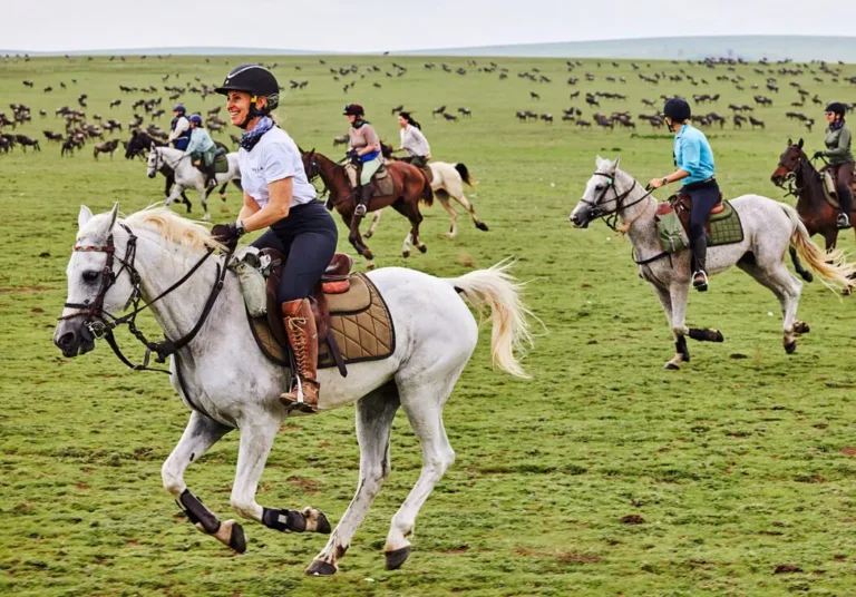 Incentives Tour in Tanzania