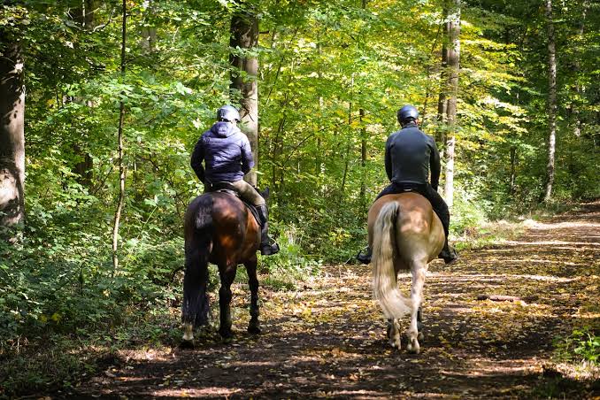 Horse riding in tanzania