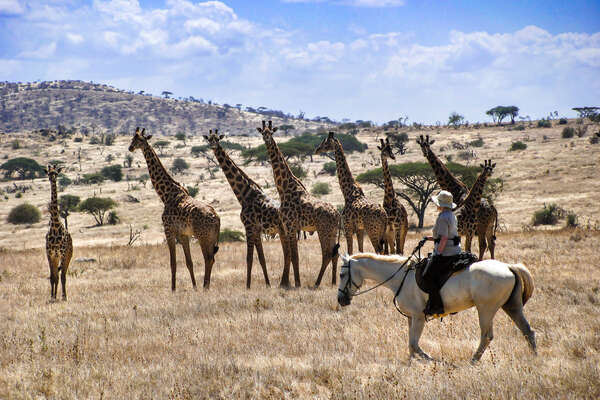 Horse riding in tanzania