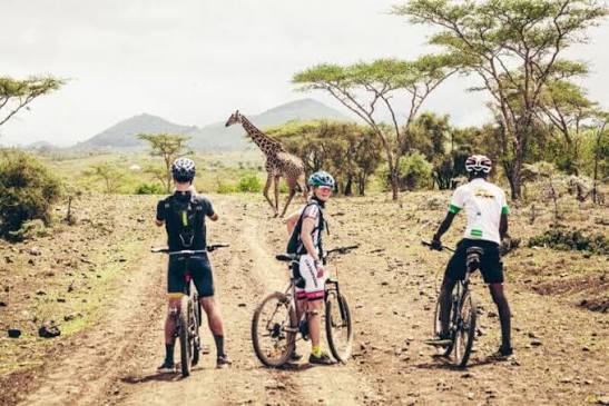 Mountain Biking Tour