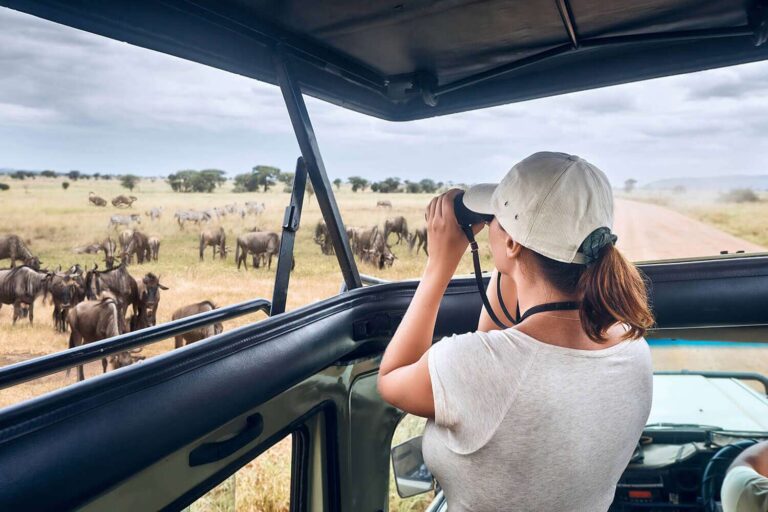 Serengeti-Safari drive
