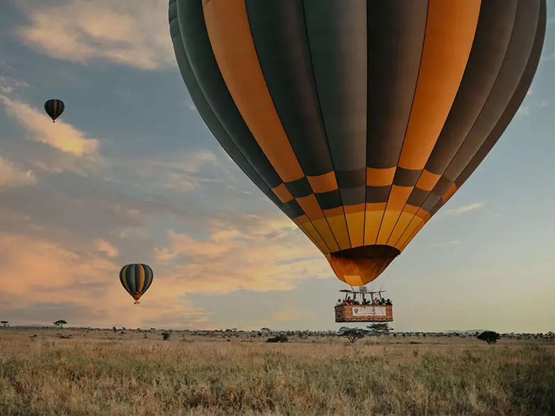 Hot air balloon