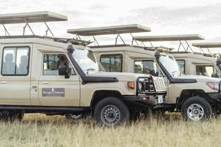 Private Tanzania safari