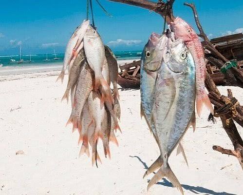 fishing experience in tanzania