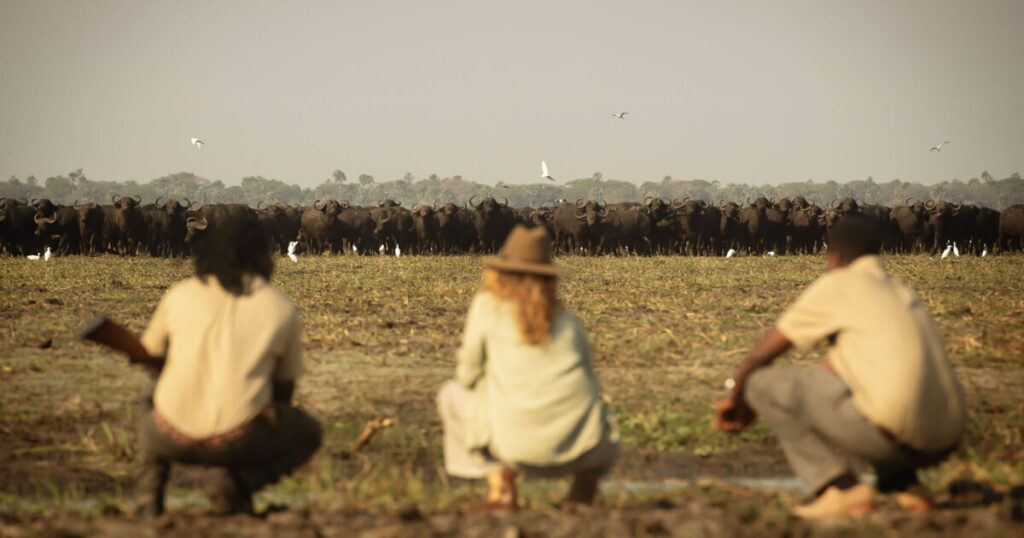 katavi walking safari