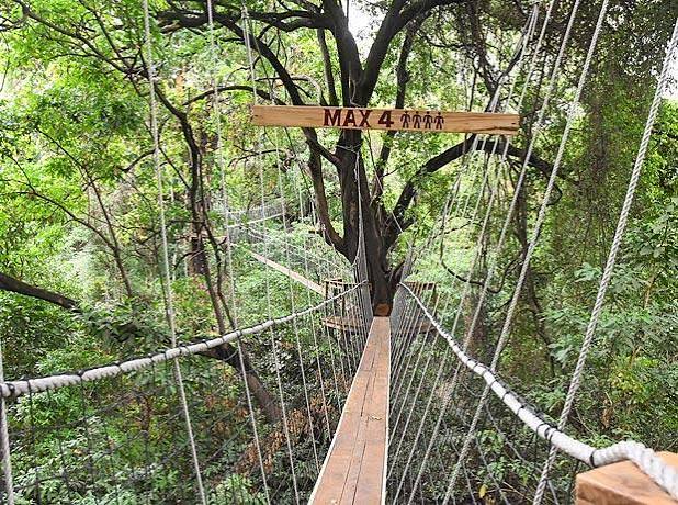 lake manyara treetop walkway