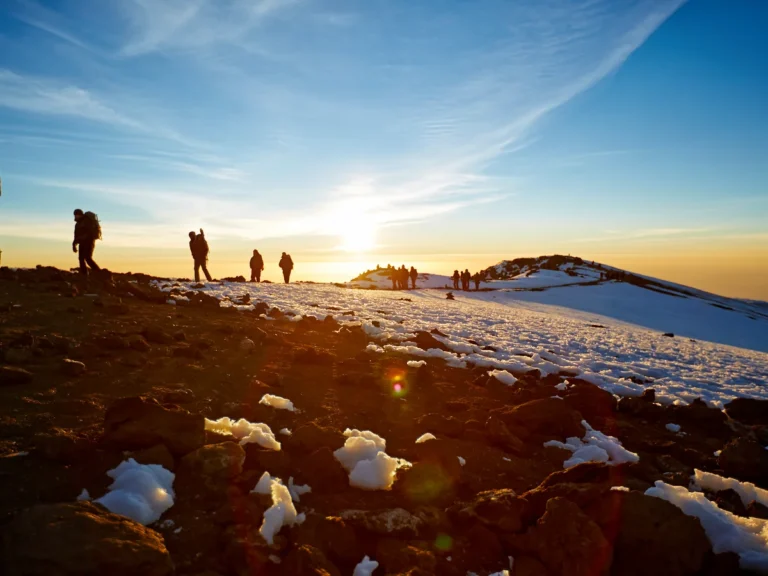 marangu_route_kilimanjaro