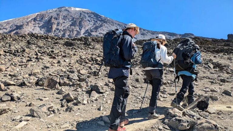 marangu_route_trekking