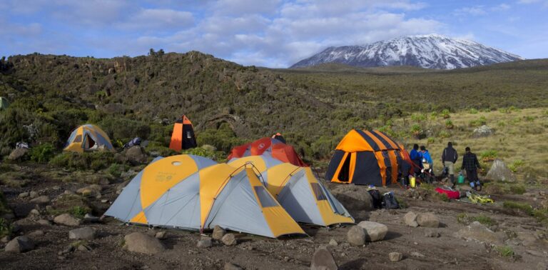 northern_trek