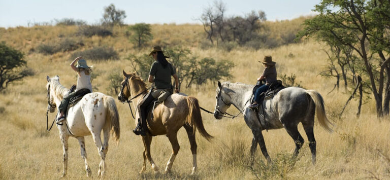 Horse Riding Tanzania