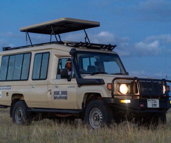 Guruguru Safari Car