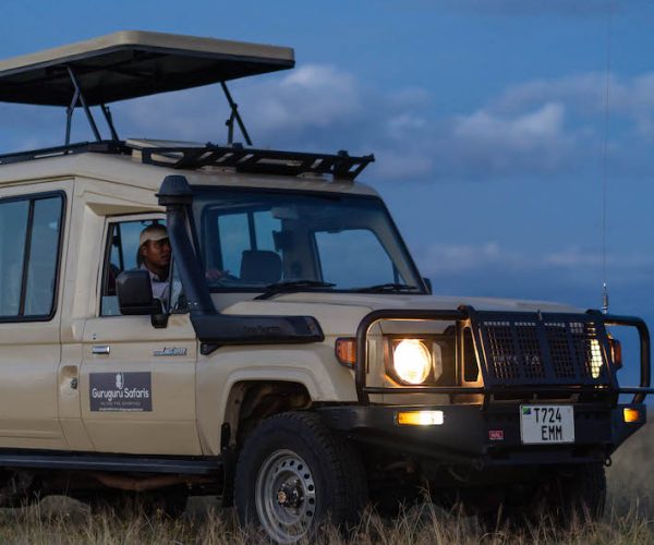 Safari car3