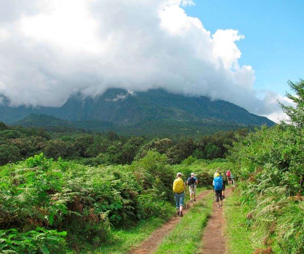 arusha national park