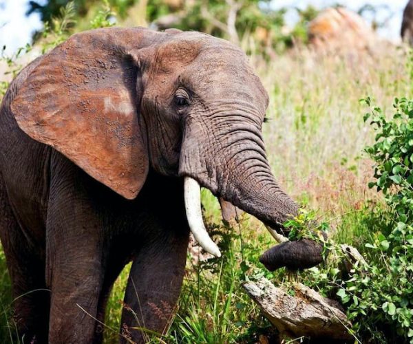 lake-manyara-national-park