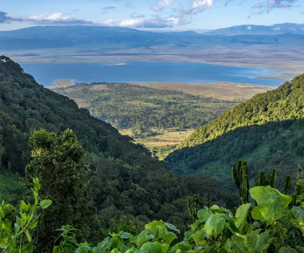 ngorongoro