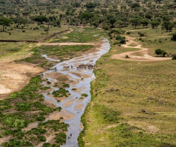 tarangire river